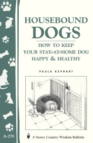 Housebound Dogs: How to Keep Your Stay-at-Home Dog Happy & Healthy