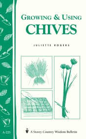 Growing & Using Chives